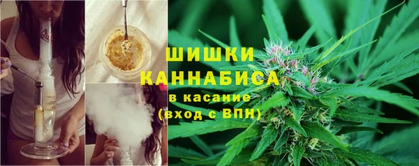 мяу мяу кристалл Богданович